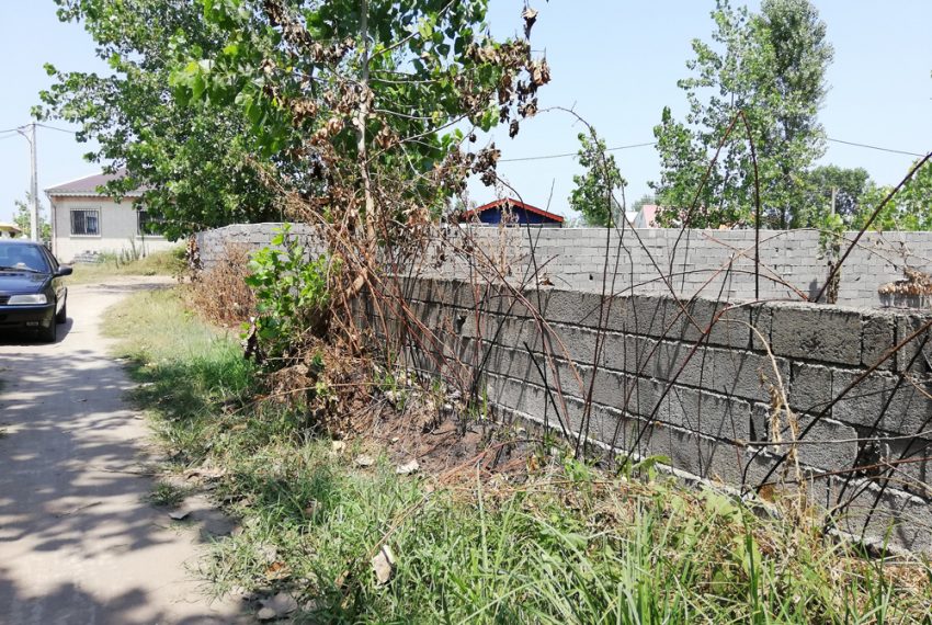 IMG_20200720_133109c